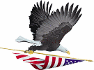 Eagle carrying US Flag.